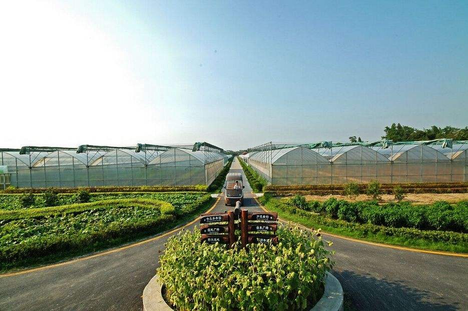 品牌策劃 | 觀光休閑農(nóng)業(yè)旅游項目策劃，告訴你如何經(jīng)營農(nóng)場！