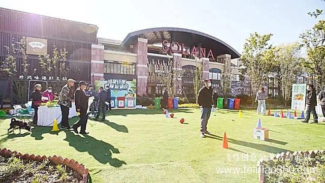 社區(qū)活動(dòng)|朝陽(yáng)483個(gè)社區(qū)舉辦鄰里節(jié)，活動(dòng)各式各樣、精彩紛呈