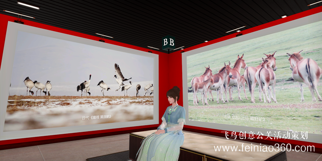 北京直播公司|網易瑤臺切入數(shù)字藝術展，線上看展會成為長期趨勢嗎？