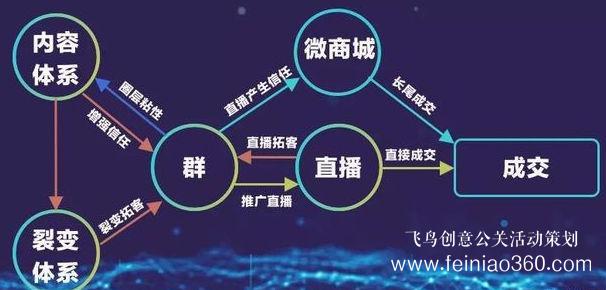 北京直播公司直播技巧 ‖ 品牌直播如何啟動，如何搭建直播運營體系