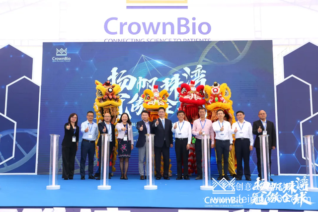 公司開(kāi)業(yè)慶典策劃一場(chǎng)多少錢？飛鳥(niǎo)創(chuàng)意開(kāi)業(yè)活動(dòng)策劃15210600582